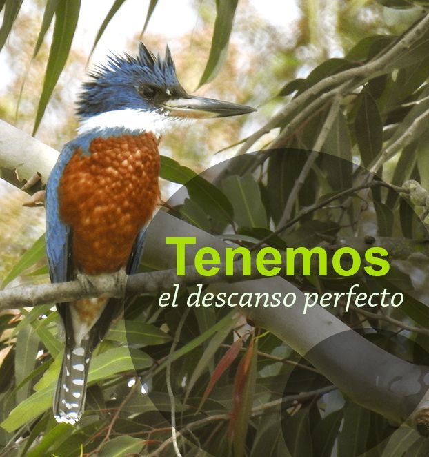Ecolodge Puebo, Ecuador, Zaysant - Near to the airport
